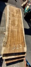 323