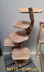 KB_Teak_115-2