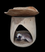 SB-SUAR-LOUNGE-APPEL Kattenlounge in Suarhout met Teak Schaal Ø50 cm