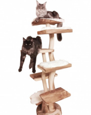 Arbre à chat / Griffoir / étalage en bois de suar, modèle REKTUM