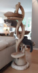 AM-KP180-T1-TWIST H180cm Kattenpaal / Krabpaal / Etalageboom in SUAR, model TWIST