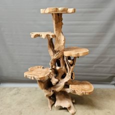 AM-KPxx-T3 Arbre à chat / étalage en bois de teck "racine"
