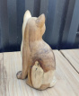 AM-STAT-CAT_T4 Kat in Suar Hout