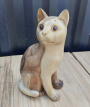 AM-STAT-CAT_T4 Kat in Suar Hout