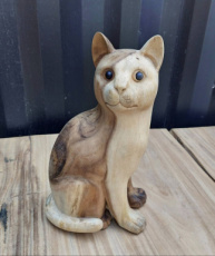 AM-STAT-CAT_T4 Kat in Suar Hout