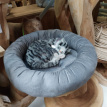 CA-CUS-DON50-EC Donut bed voor op krabpaal d50 x h12cm