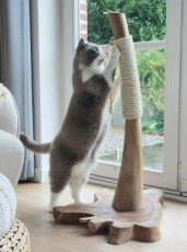 ID-KB105 Krabboom - 105 cm