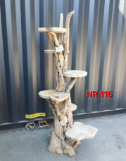 KB_Teak_116