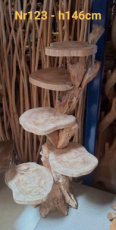 KB_Teak_123