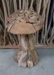 SB-ChamRoot Paddestoel in teak wortel hout
