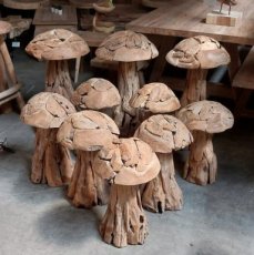SB-ChamRoot Paddestoel in teak wortel hout