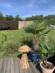 Teak champignon H50 cm Teak champignon H50 cm