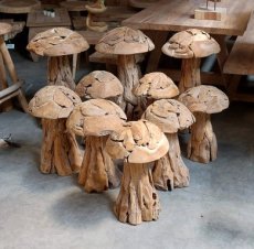 Teak champignon H50 cm Teak champignon H50 cm