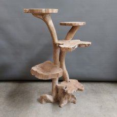 Teakpaal 112