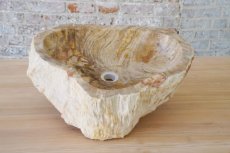 Fossiel lavabo - versteend hout